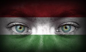 Magyarország-írország tv közvetítés