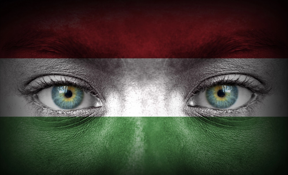 Magyarország-írország tv közvetítés